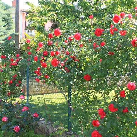 With A Parking Space - 7666 Umag