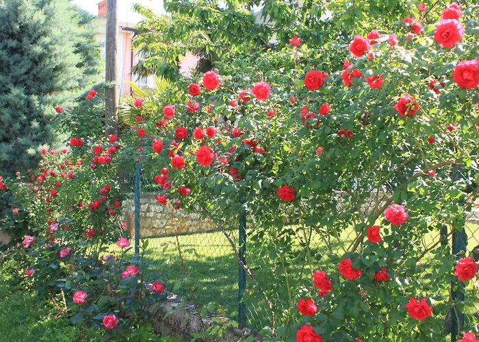 With A Parking Space - 7666 Umag